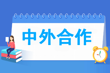 计算机专业中外合作办学怎么样