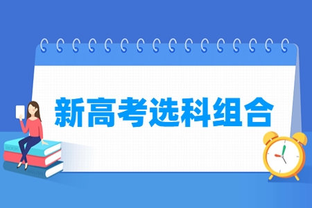 湖南新高考选科组合有哪些