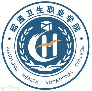 昭通有哪些职业技术学院